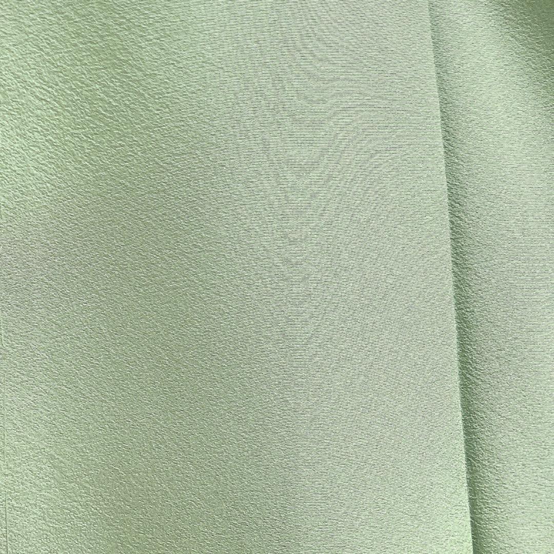 未着用　色無地　ライトグリーン　大丸タグ　パーティ　着物　115b d ms