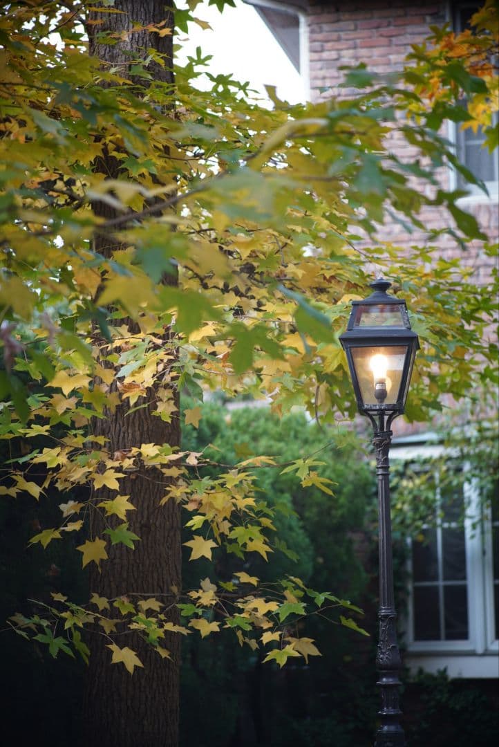 【動作確認済】OLYMPUS ペン用 100mm f3.5純正フード&キャップ付