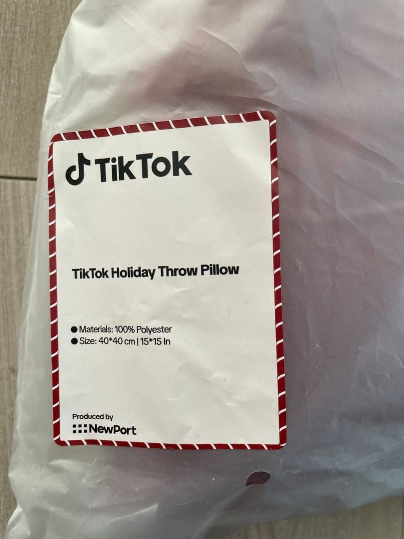 レア！ TikTok クッション 非売品 インテリア40×40 cm