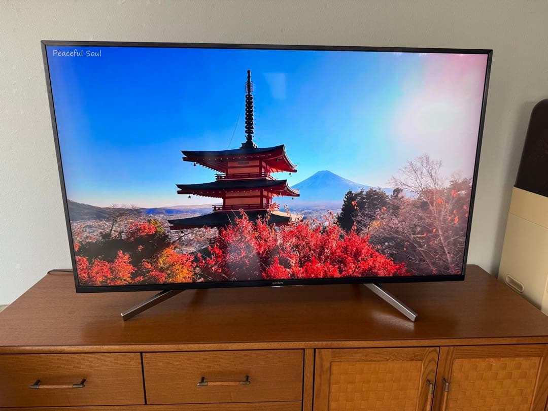 【正常動作・美品】SONY BRAVIA KJ-49X8500G 2019年製