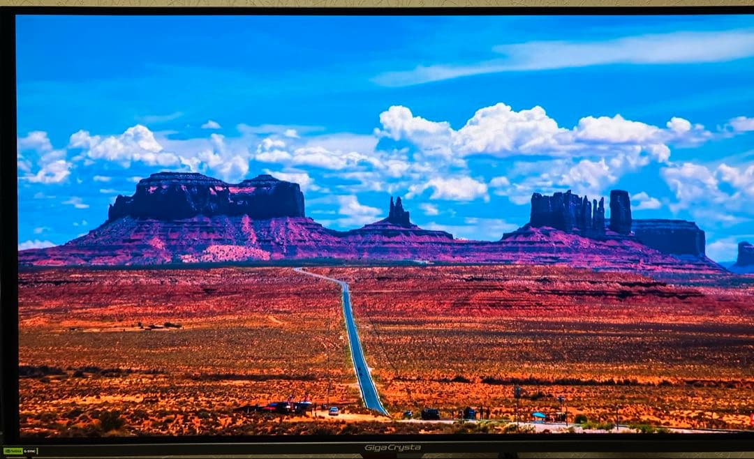 iodata有機EL LCD-GDQ271UEL