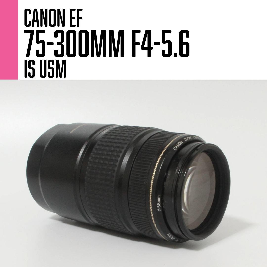 【美品】Canon EF 75-300mm F4-5.6 IS USM 望遠
