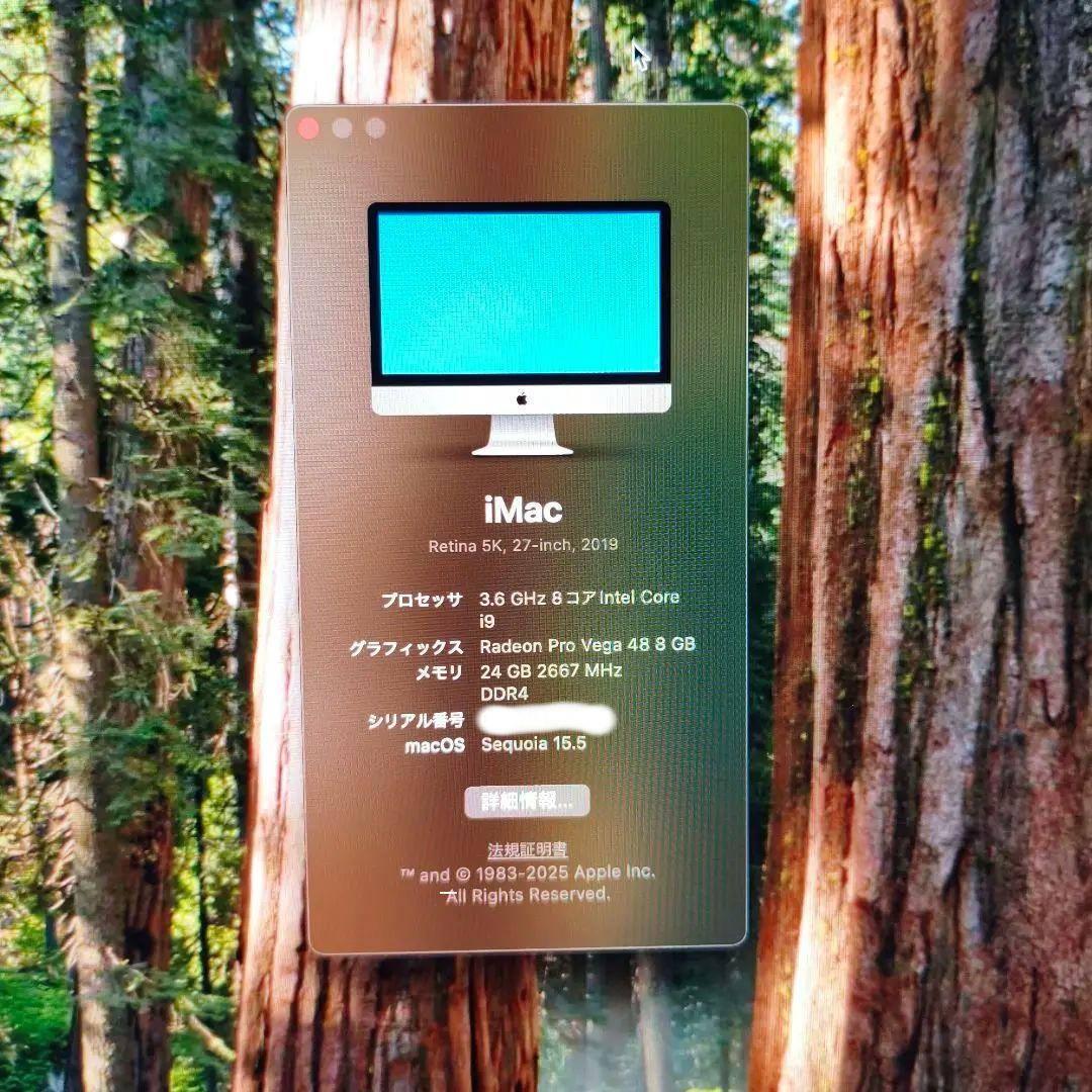 Apple iMac Retina 5K 27インチ 2019 2TB 24GB