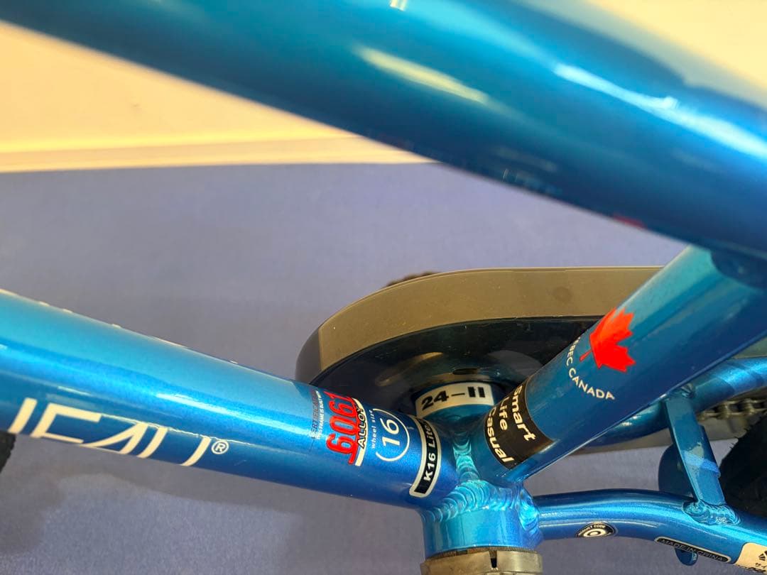 LOUIS GARNEAU ルイガノ キッズ ブルー 16インチ【美品】