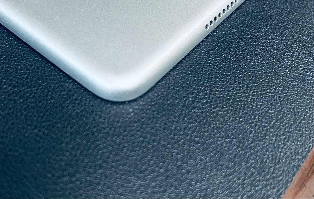 盛*翔様 iPad mini 第5世代 256GB セルラーモデル