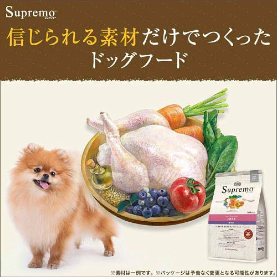 Supremo ドッグフード　ニュートロ シュプレモ 子犬用 小粒(6kg)