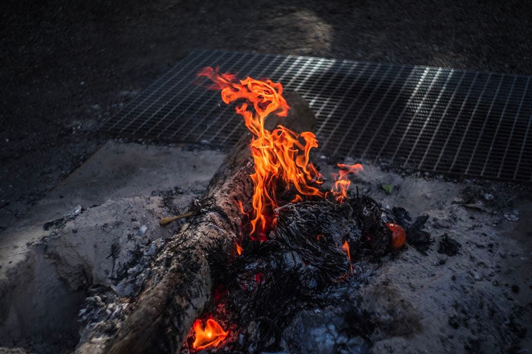 美品+ 分解清掃済 Helios-44-2 58mm f2 ぐるぐるボケ 十二