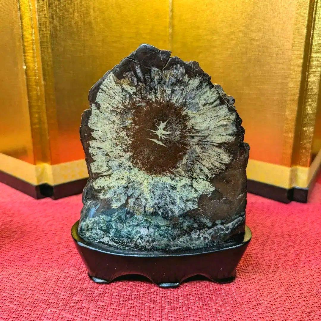 菊花石 岐阜県根尾谷産 双子２石セット 鑑賞石 観賞石 水石 盆石 天然石