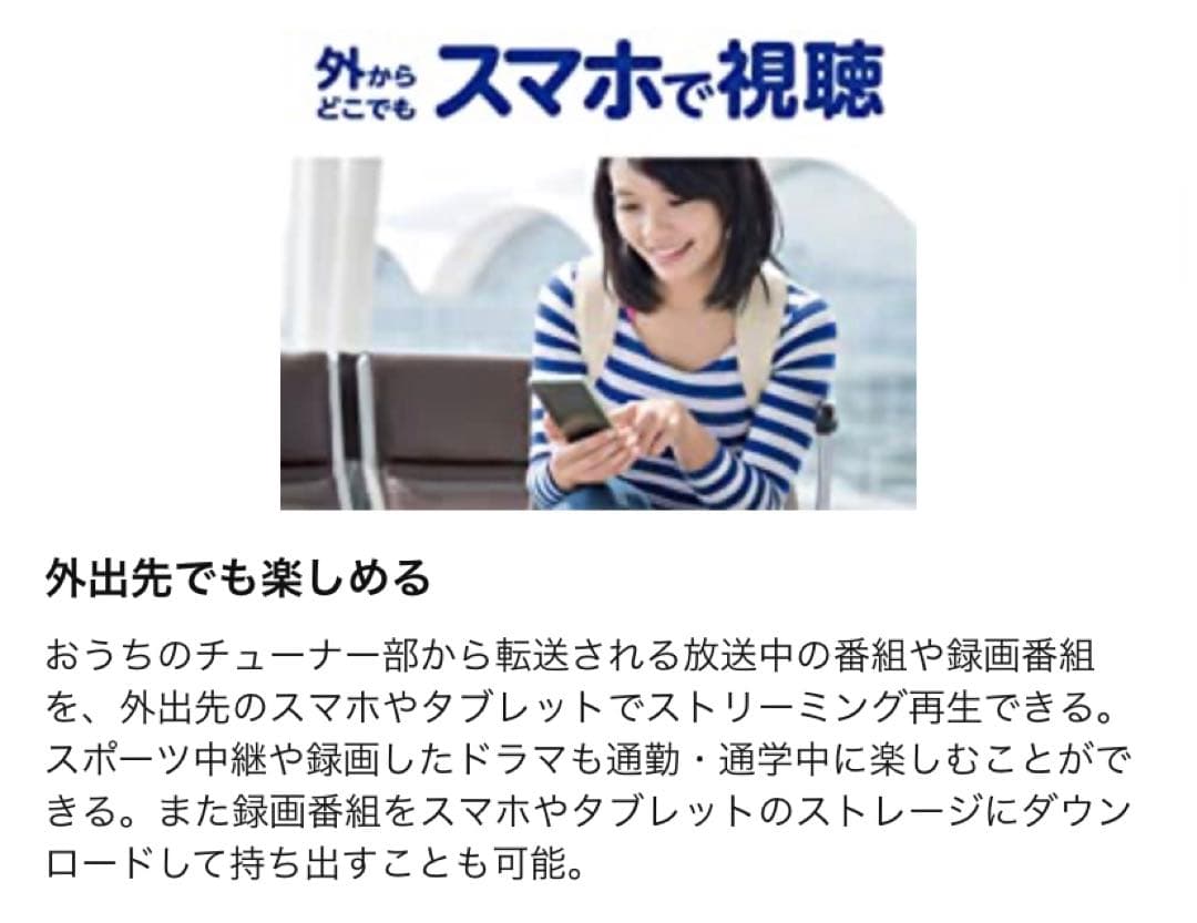 Panasonic プライベート・ビエラ UN-10CE8 ポータブルテレビ