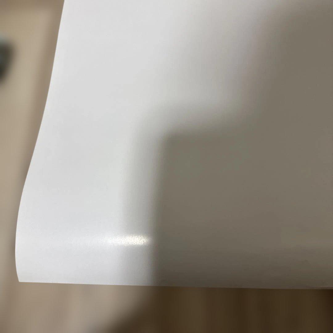 非売品❗️ゼルダの伝説 トワイライトプリンセス ポスター