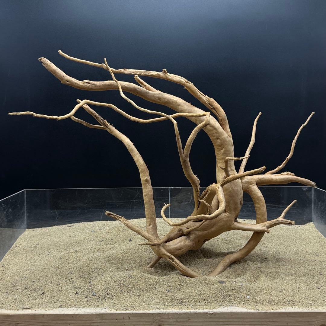 MDW-6989 特大ブランチウッド　流木　枝流木　アクアリウム