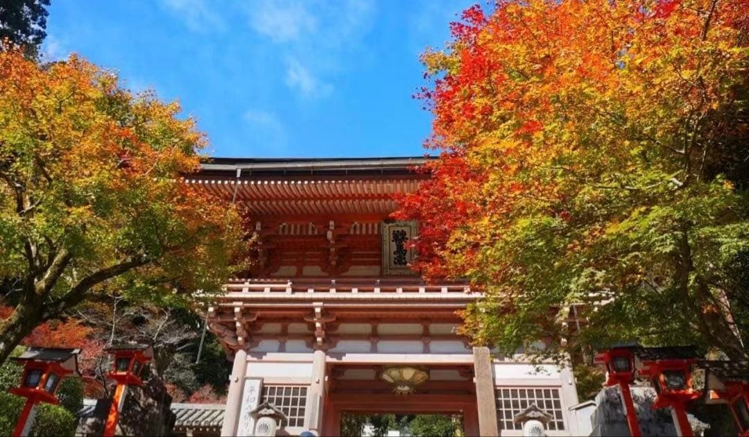 ミキハウススニーカー17HOT BISCUITSスニーカー　兎　キッズスニーカー