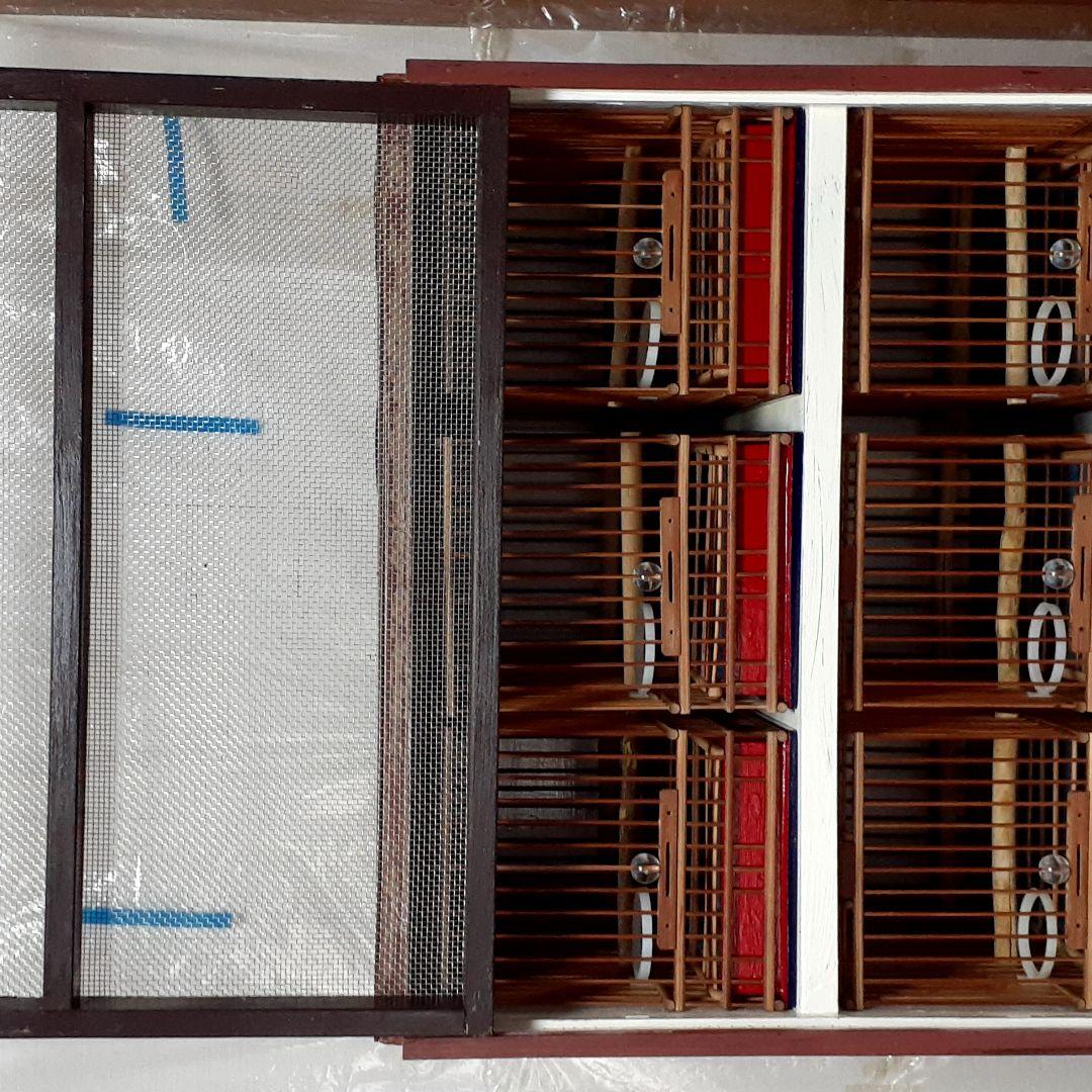 鳥籠六個　六羽桶セット