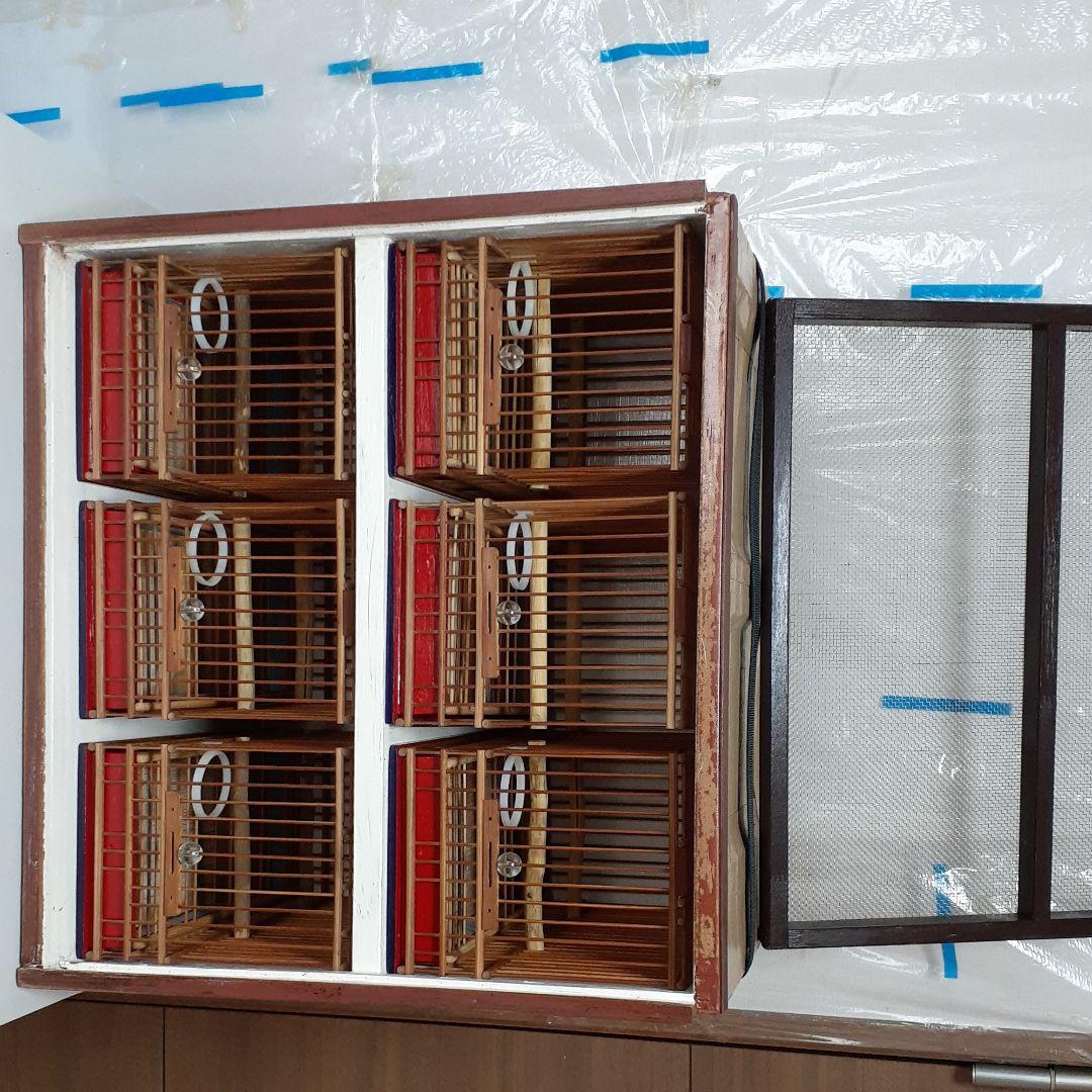 鳥籠六個　六羽桶セット