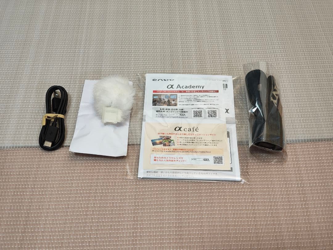 ミラーレスカメラ　SONY ZV-E10ボディ smallrig製リグ付き