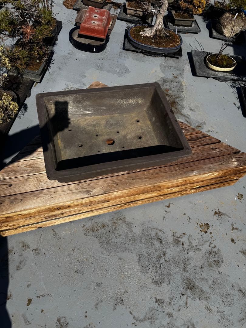 陶器製 盆栽鉢 ダークブラウン 大きめ　22号