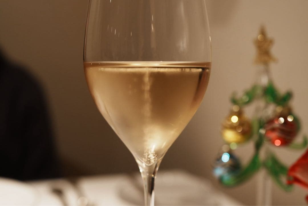 SONY FE 35mm F1.8 レンズ