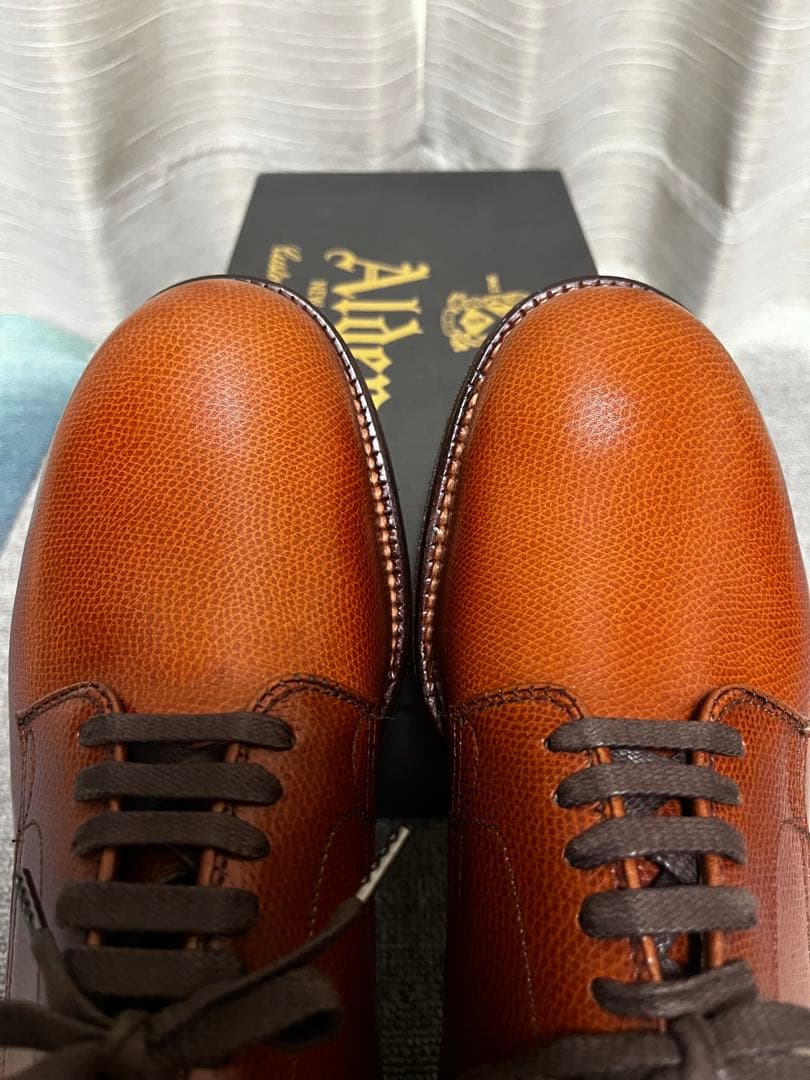 希少 ALDEN 5369 ミリタリーラスト 7ハーフ