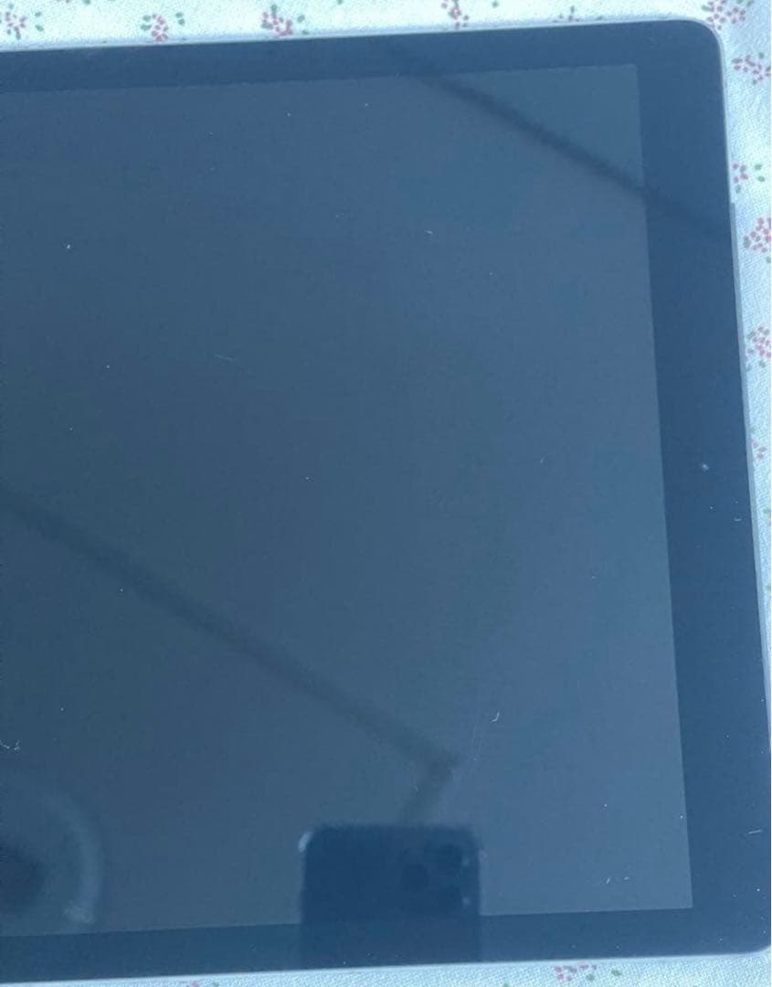 iPad Pro 12.9 (第一世代) 128GB WiFi + セルラー