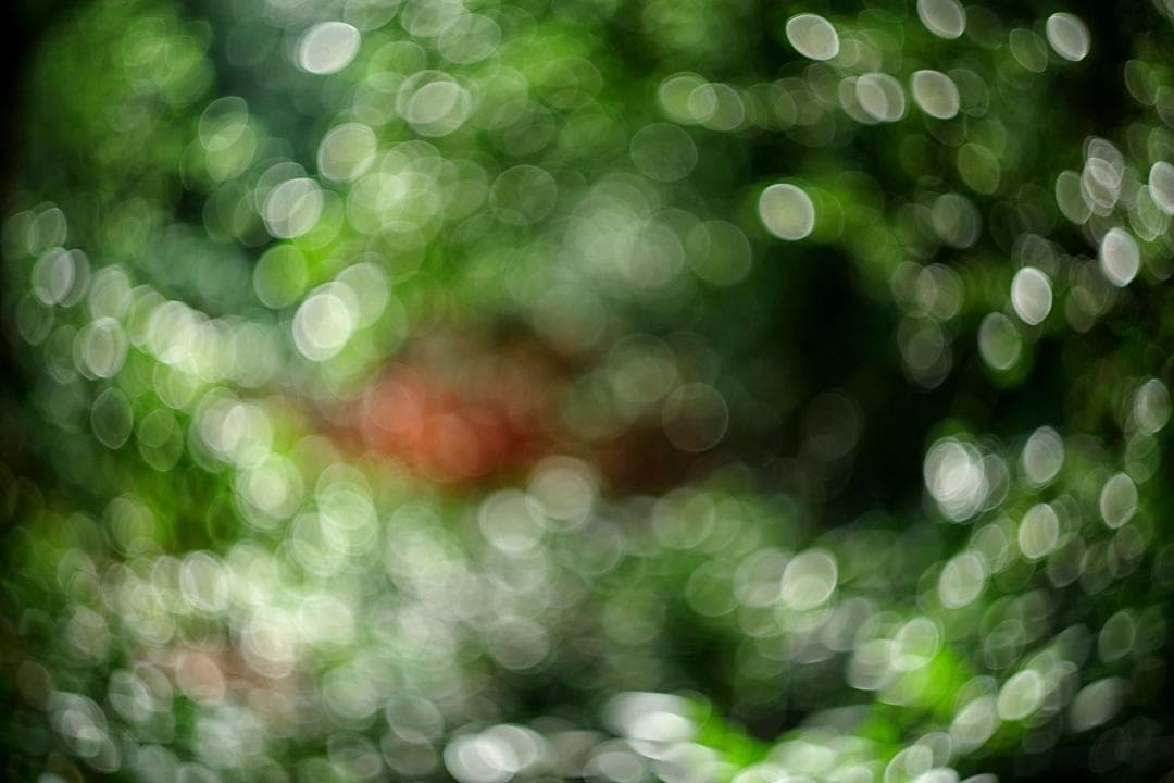 32　初期型　Helios44-2 　新品同様　ヘリオス