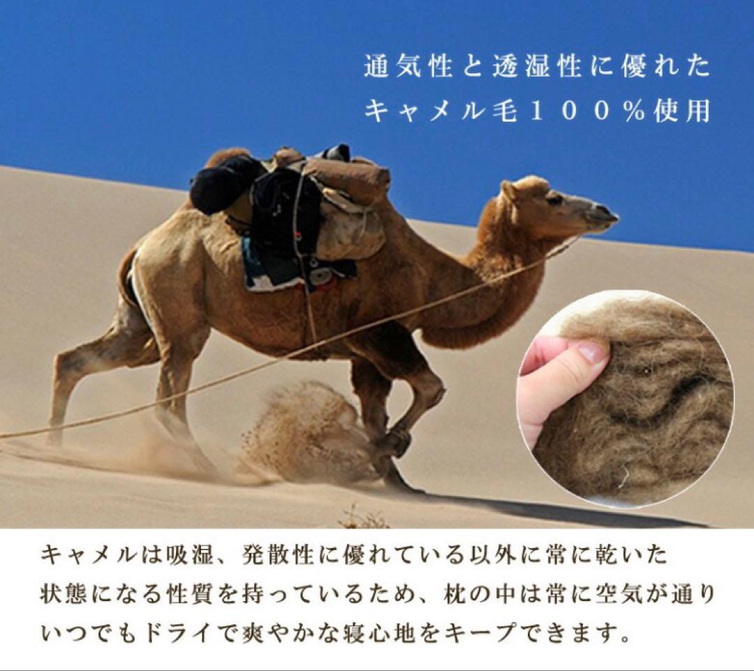 イワタ キャメルピロー 枕 ふつう 3cm 国産