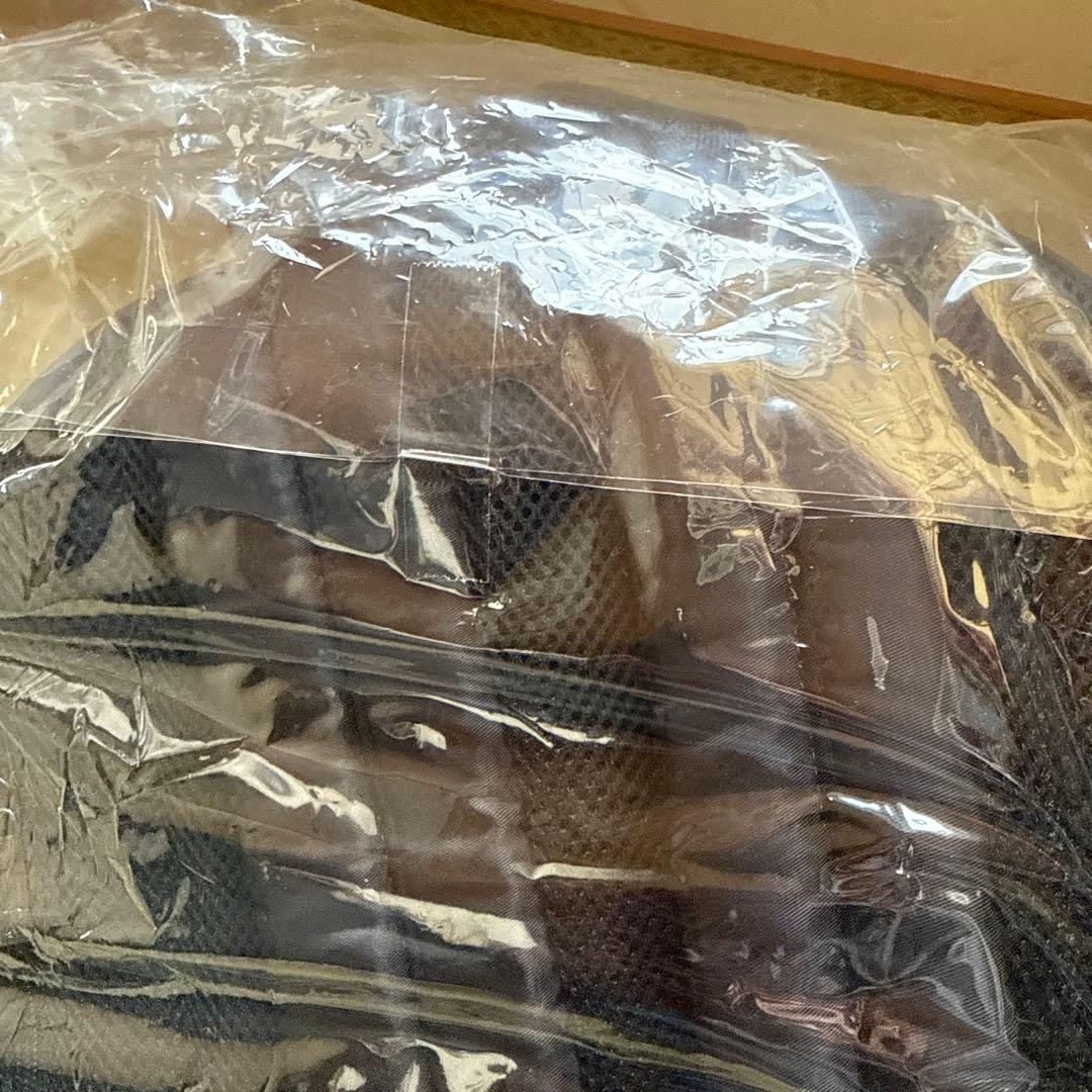 阪神タイガース　ジャーナルスタンダード　ビッグラバーネームリュック　ファンクラブ