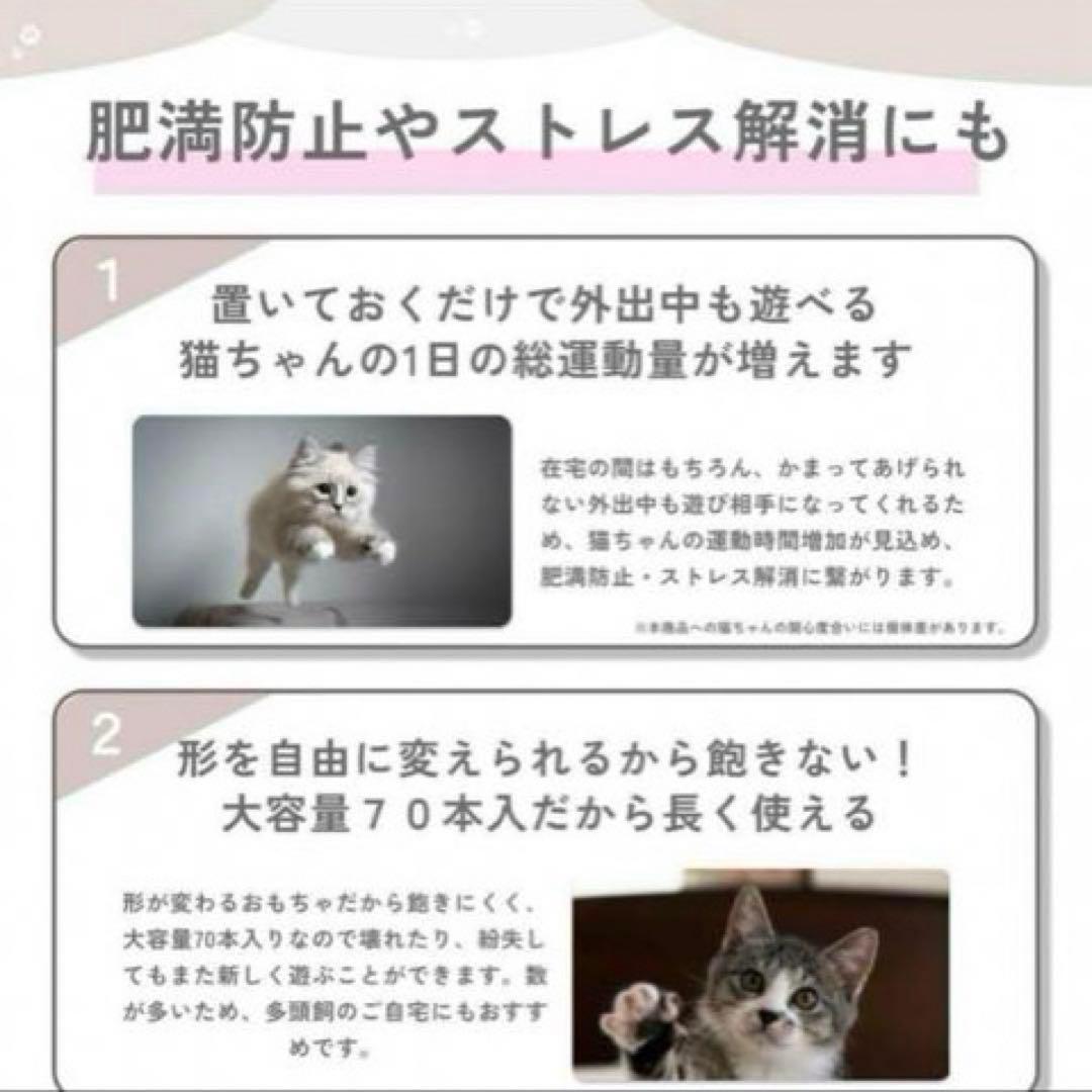 マイキャット 70本 キャットタイ 猫のおもちゃ 猫 キャット 1人遊び