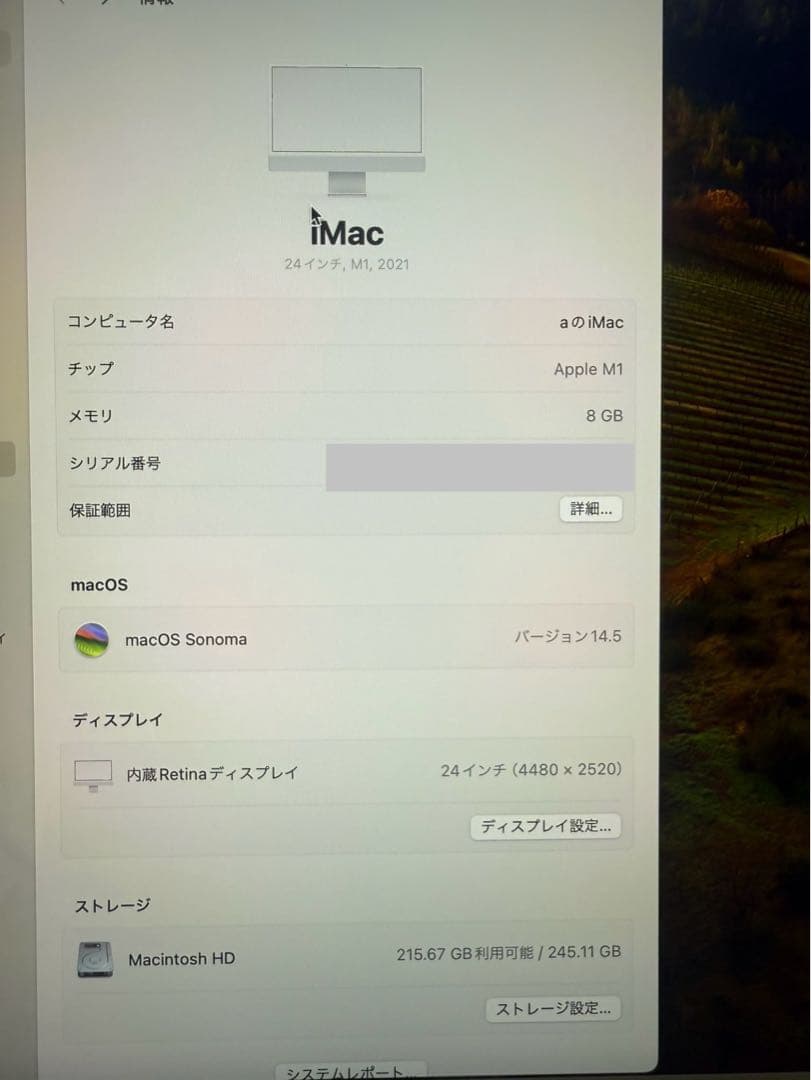 【匿名配送】iMac 24インチ M1 シルバー｜8GB/256GB｜動作快調！
