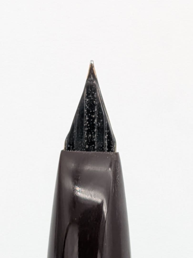 廃盤〈PLATINUM〉アマゾナス プラチナ 万年筆 ペン先 18K ②⑩