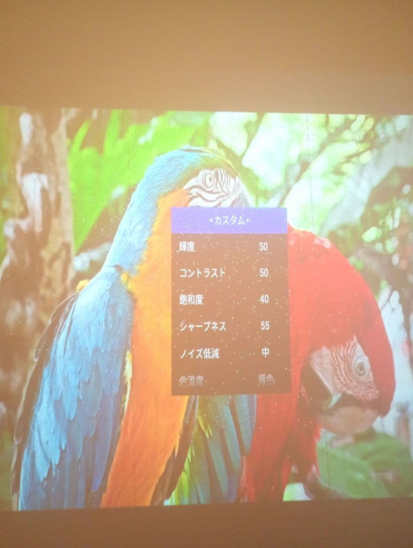 【ジャンク品】 popIn Aladdin2 ポップインアラジン2 ドット抜け有