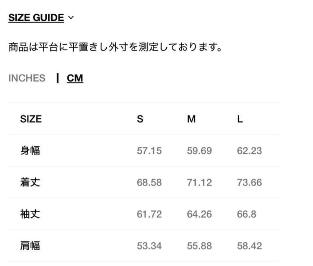 新品未使用☆STÜSSY BASIC STSSY CREW　L　ブラック　裏起毛