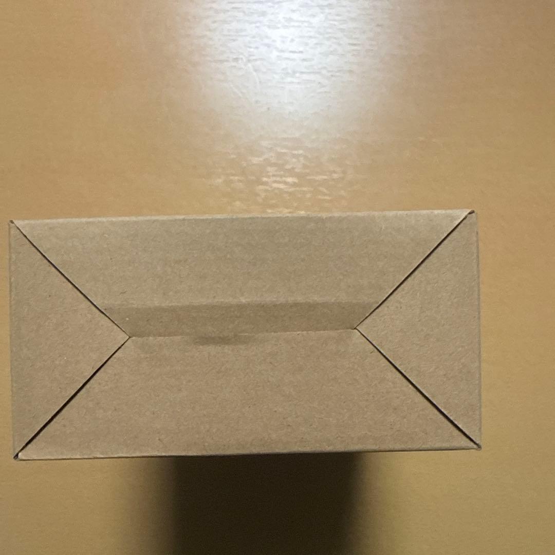 S.H.Figuarts（真骨彫製法）　ライダーマン&v3セット