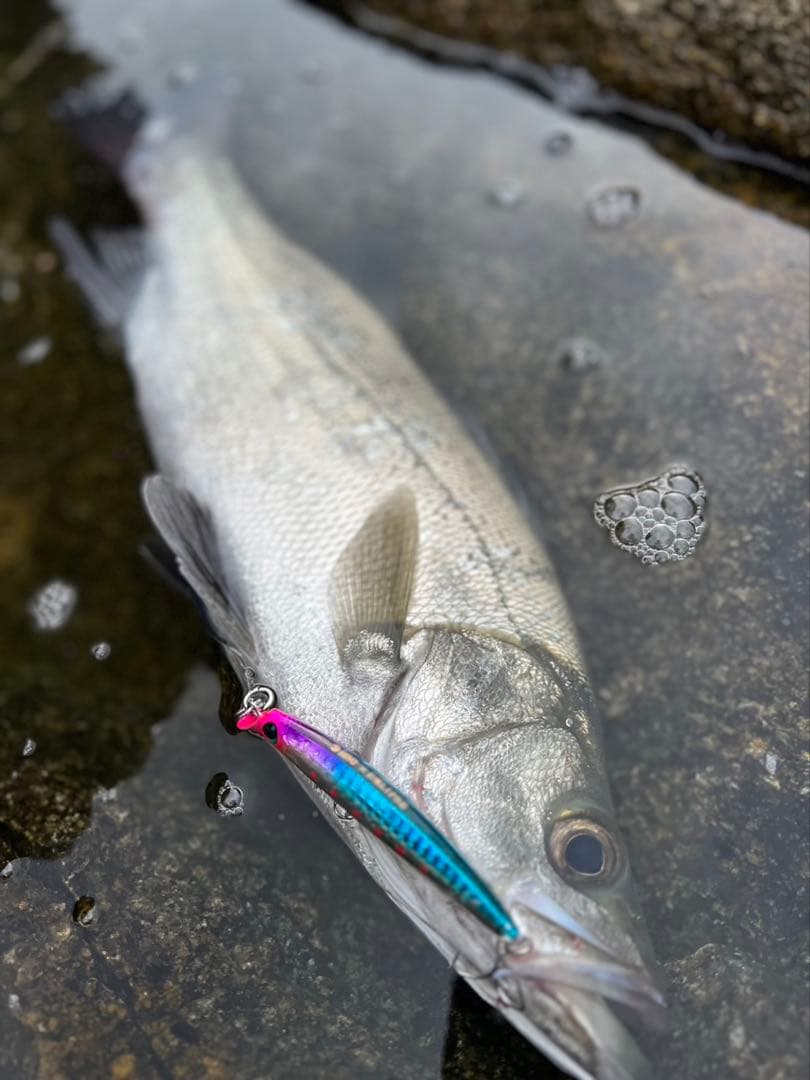 ツーリミット103 マルチ Two limit 103 multi