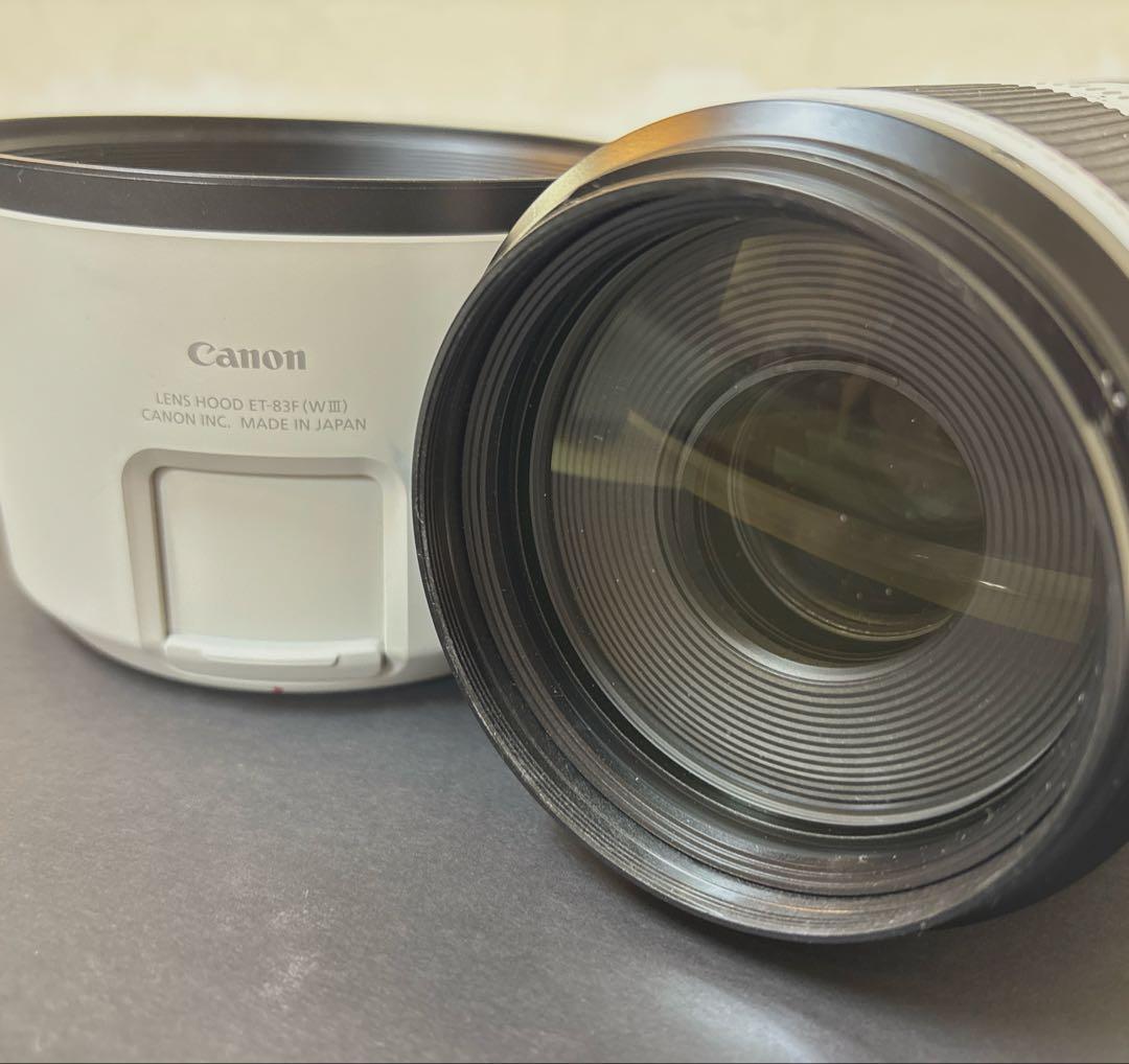 Canon キャノン RF100-500mm F4.5-7.1 L IS USM