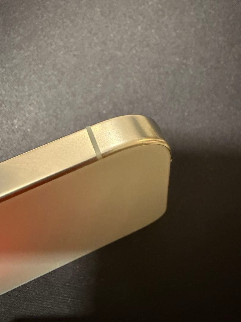 Apple iPhone 16 Pro シルバー 本体　箱は17pro