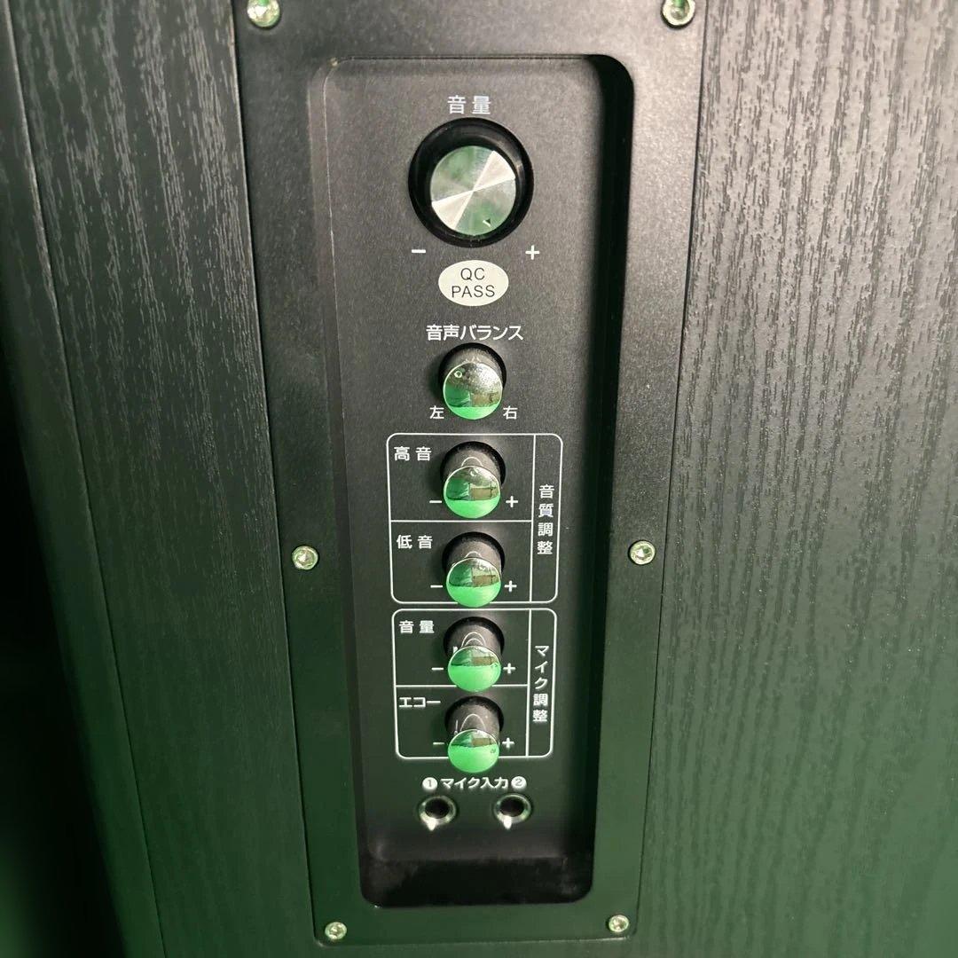 Bearmax アンプ内蔵タワースピーカー TS-120BW