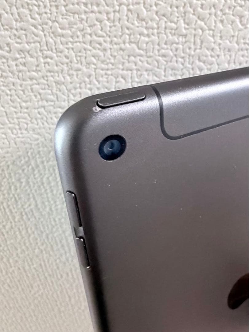 iPad本体 iPad mini5 + Apple pencil(1)