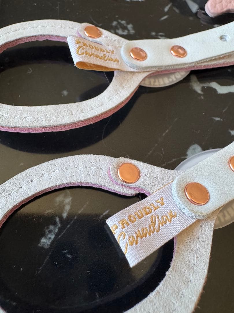 バディベルト　パピー　極小　bb ハーネス・リード6点セット