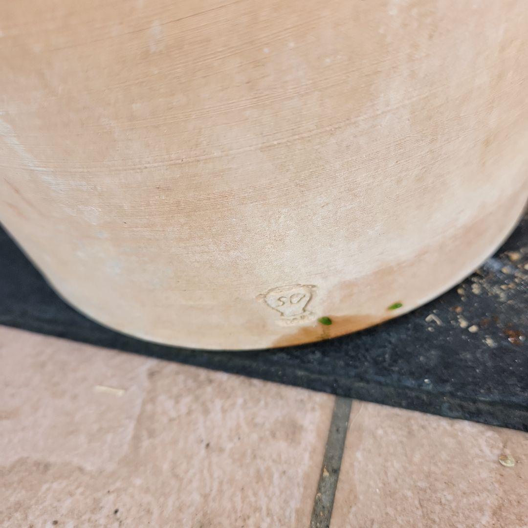 オリーブの木 ネバディロブランコ SOUJU 9号鉢植え 古木