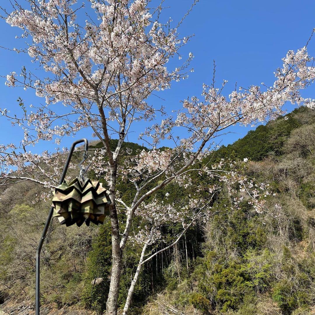 完売品　solol　ソルオル　マルチカム