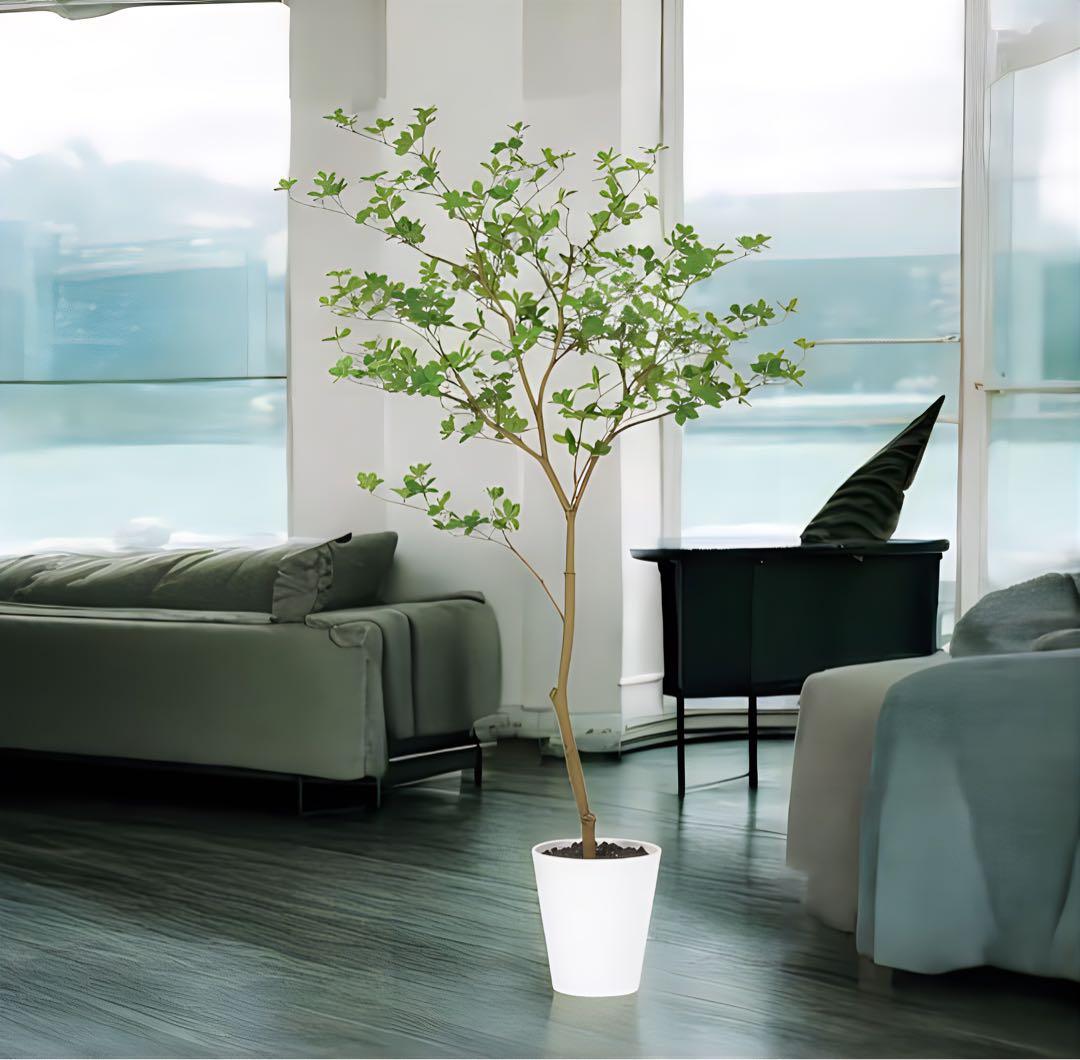 光触媒　人工観葉植物　ウォールグリーン　フェイクグリーン　ドウダンツツジ FST