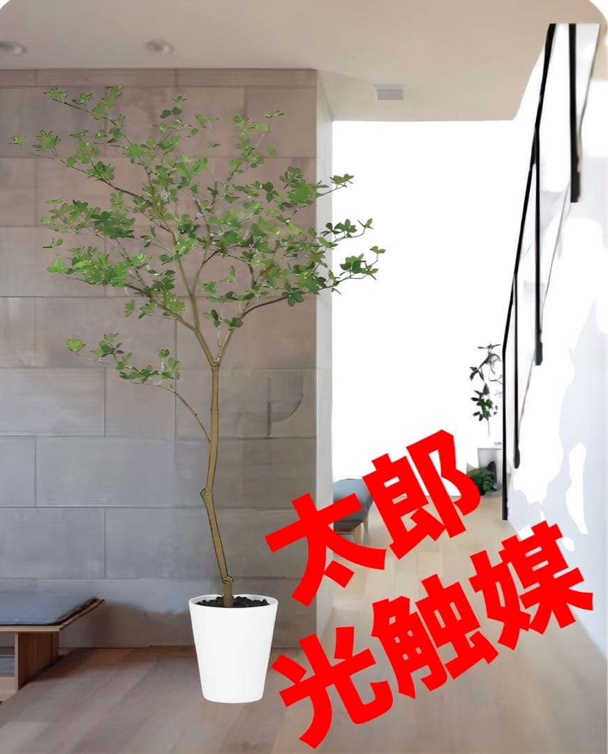 光触媒　人工観葉植物　ウォールグリーン　フェイクグリーン　ドウダンツツジ FST