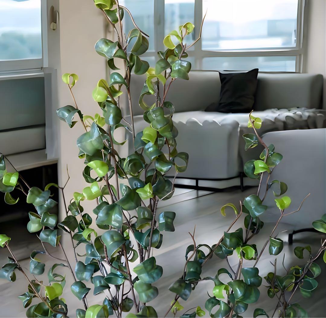 光触媒　人工観葉植物　ウォールグリーン　フェイクグリーン　ベンジャミンバロックy