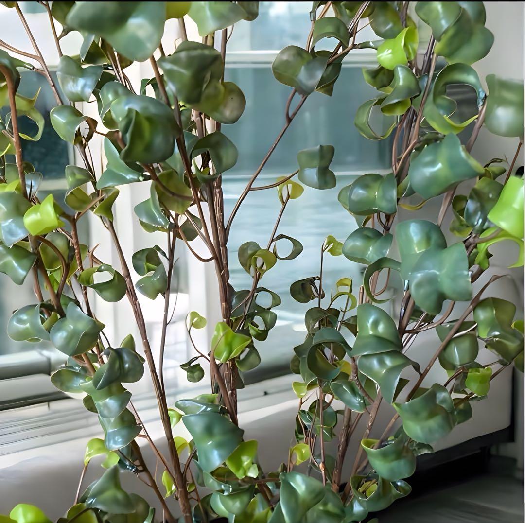 光触媒　人工観葉植物　ウォールグリーン　フェイクグリーン　ベンジャミンバロックy