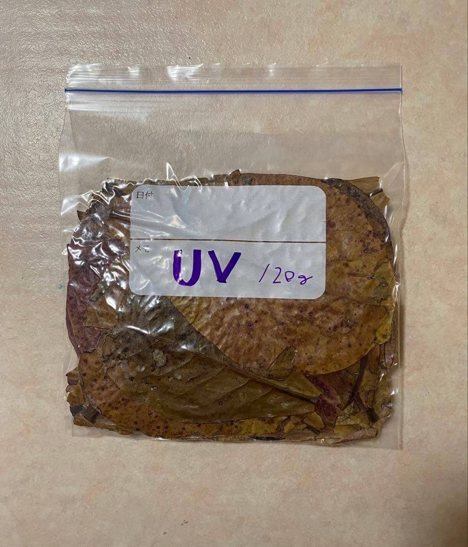 沖縄県やんばる産マジックリーフ 2kg UV殺菌灯照射済み①