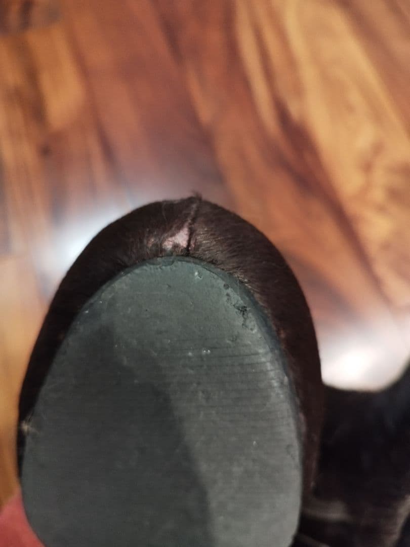 希少The viridi-anne ジップブーツ