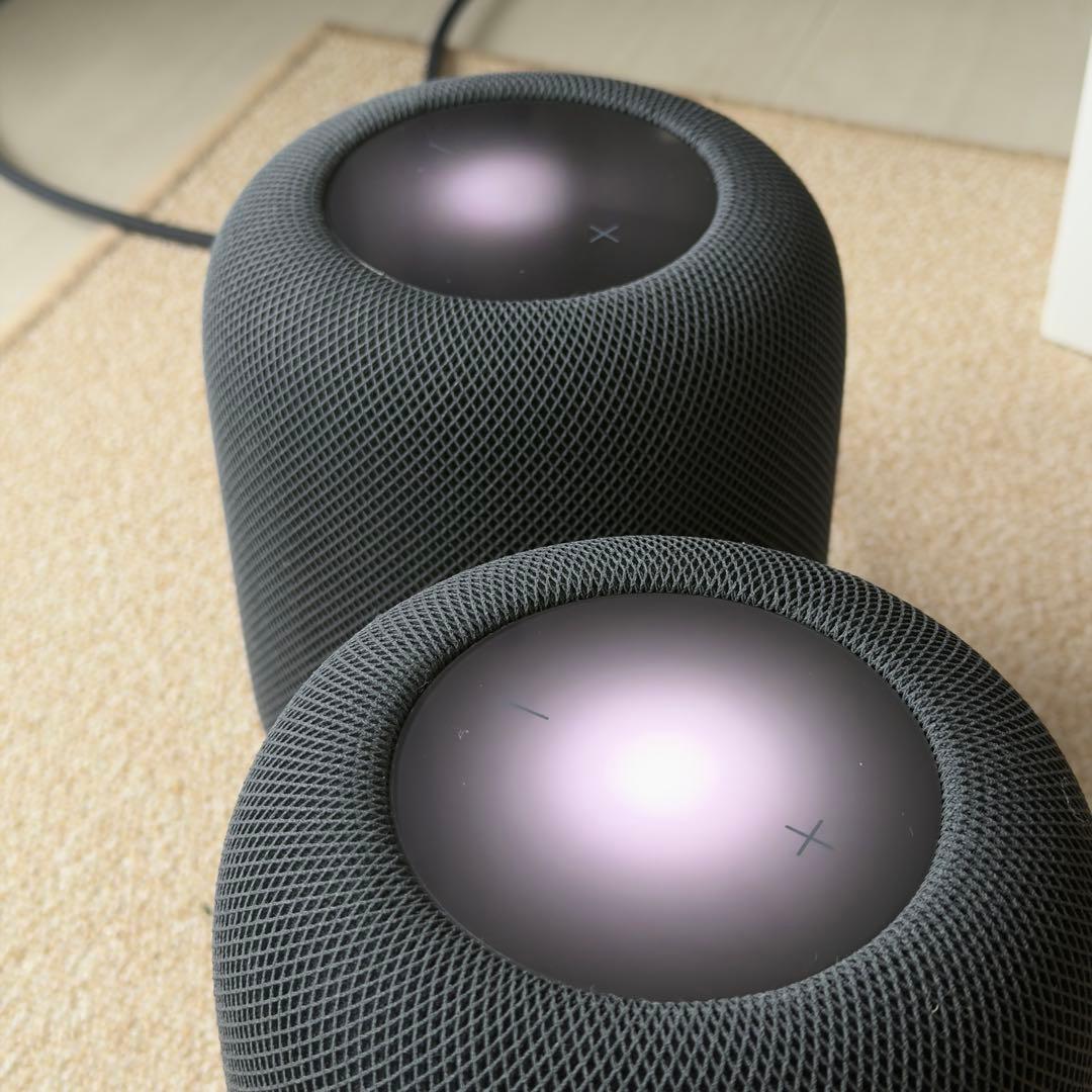 Apple Pod（第2世代）ミッドナイト MQJ73J/A 2個セット