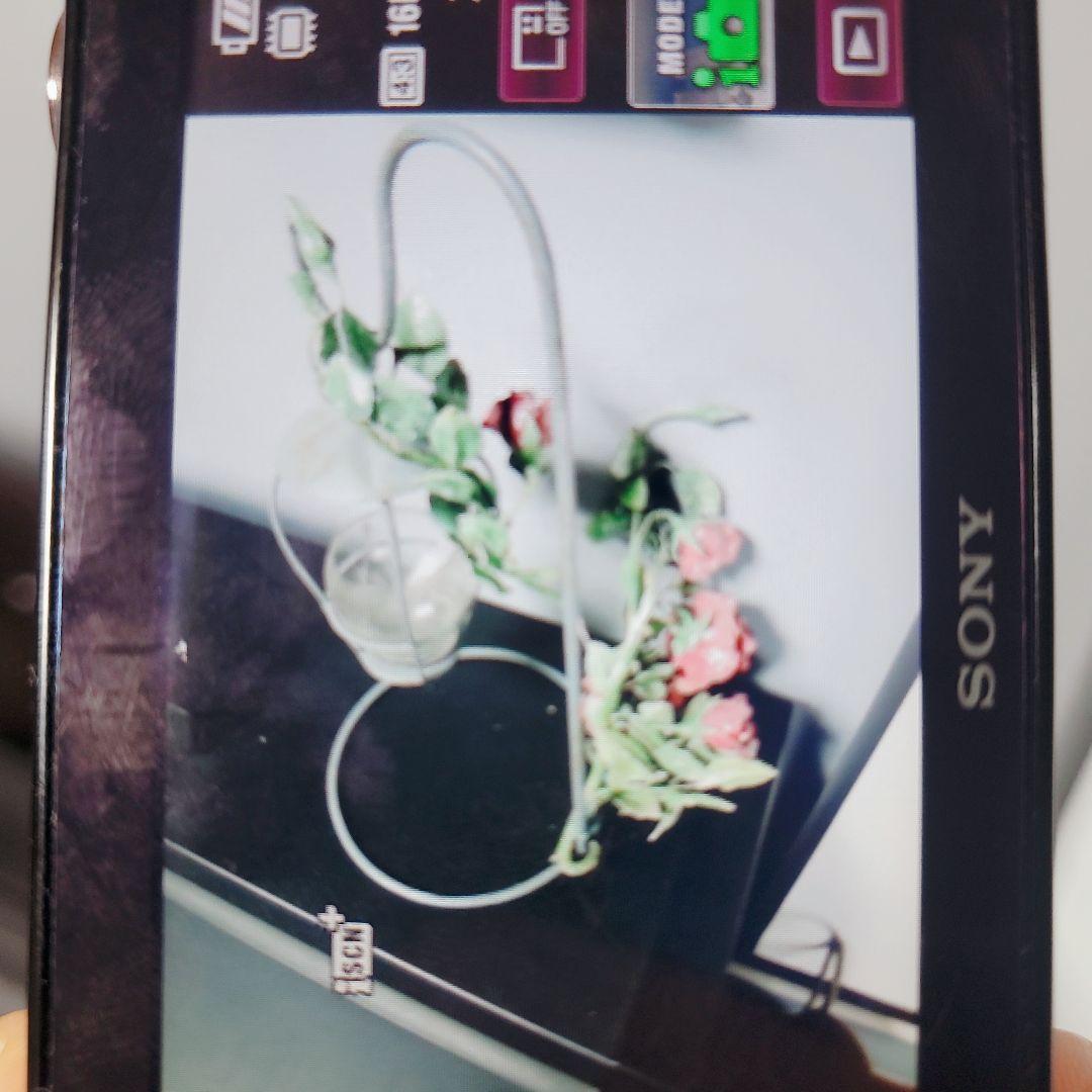 SONY Cyber-shot DSC-WX30 [Pink] デジタルカメラ