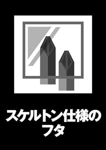 デウォルト(DEWALT) タフケース (大) オーガナイザー 工具箱 収納ケA