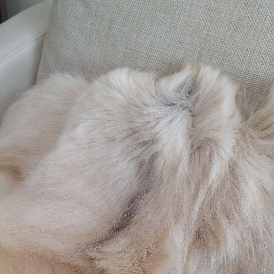 毛皮ラグ 大きめ